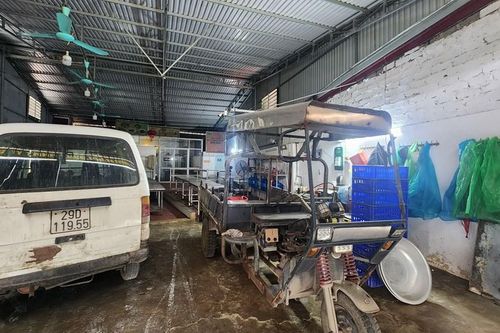 Vụ 300 tấn thịt lợn bẩn: Bộ Y tế siết bếp ăn trường học, phụ huynh hoang mang