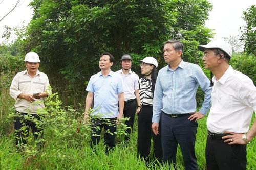 Nỗ lực giải phóng mặt bằng, đẩy nhanh tiến độ thi công cầu Tứ Liên