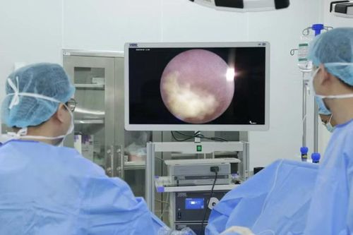 Kết hợp '2 trong 1' điều trị sỏi thận không vết mổ