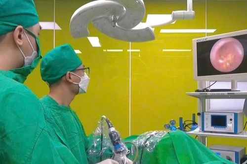 Lấy sỏi niệu quản phức tạp bảo tồn chức năng thận