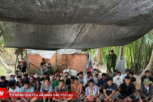 36 đối tượng tụ tập đá gà ăn thua bằng tiền