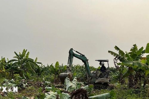 Hà Nội đẩy nhanh tiến độ giải phóng mặt bằng phục vụ dự án cầu Tứ Liên