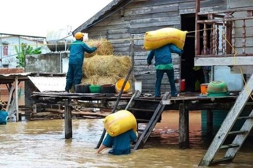 Gia Lai sẽ xây dựng cầu Mơ Năng 2 nhằm khắc phục tình trạng chia cắt kéo dài