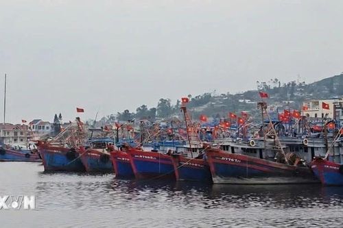Tập trung triển khai Hệ thống truy xuất nguồn gốc thủy sản khai thác điện tử