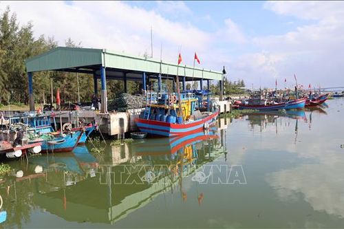 Phản hồi thông tin TTXVN: Cảng cá Hồng Triều sẽ sớm có đơn vị quản lý, vận hành
