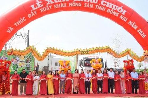 Đồng Nai xuất khẩu 220 tấn chuối, mở rộng thị trường nông sản năm 2026