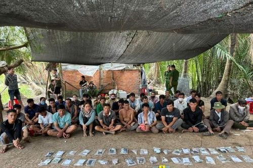 Bắt 36 đối tượng đánh bạc đá gà, ăn thua bằng số tiền lớn