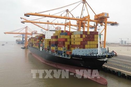 Logistics linh hoạt ứng phó rủi ro