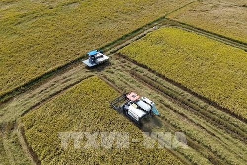 Đồng Tháp kỳ vọng bứt phá nhờ công nghiệp chế biến