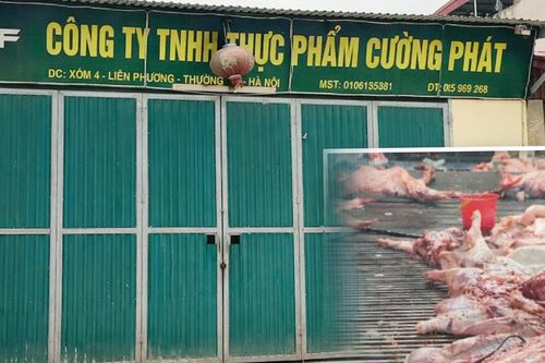 Vụ 300 tấn lợn bệnh: Nhiều trường ở Bắc Ninh dừng ăn bán trú