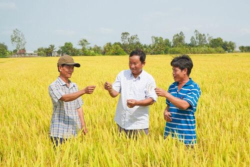 Đưa nghị quyết vào việc cụ thể