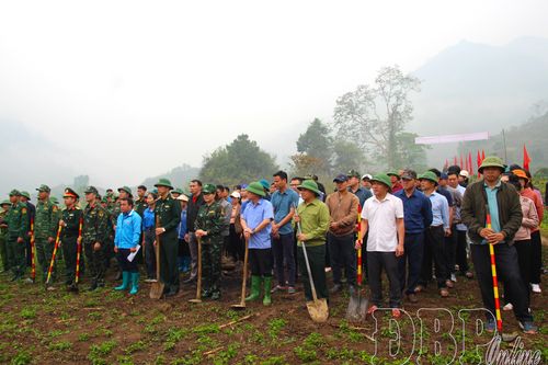 Xã Mường Nhà phát động trồng mới cây mắc ca, cà phê