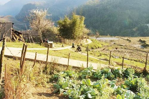Giới thiệu 17 tác phẩm tiêu biểu của điện ảnh Việt Nam 40 năm đổi mới