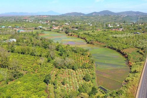 Tưới tiết kiệm nước trong mùa khô: Yêu cầu tất yếu trong sản xuất nông nghiệp