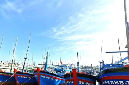 Nông dân, ngư dân chủ động thích ứng trước áp lực giá xăng dầu