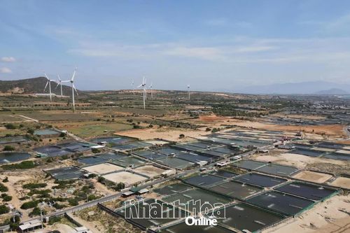 Tăng mức bồi thường, hỗ trợ tái định cư dự án điện hạt nhân