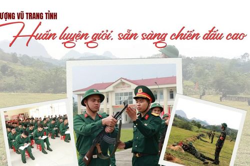 Lực lượng vũ trang tỉnh: Huấn luyện giỏi, sẵn sàng chiến đấu cao
