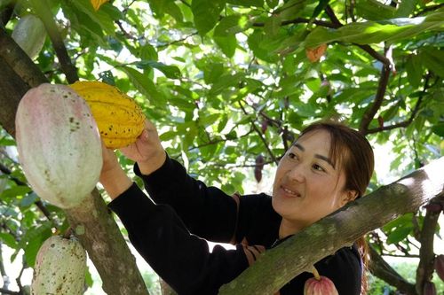 Khi đồng bào chung sức xây dựng nông thôn mới