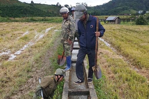 Chủ động các giải pháp thực hiện 'mục tiêu kép' trong mùa khô