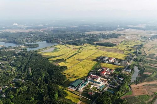 Neo giữ điệu hò Như Lệ
