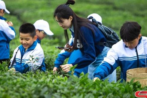 'Siêu vườn trường' giúp học sinh trải nghiệm quy trình sản xuất chè