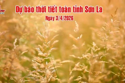 Dự báo thời tiết toàn tỉnh Sơn La ngày 3/4/2026