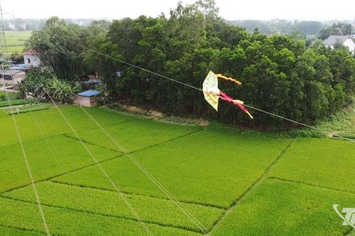 Xử lý nghiêm hành vi thả diều vi phạm hành lang an toàn lưới điện