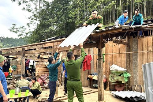 Nỗ lực khắc phục thiệt hại do thiên tai