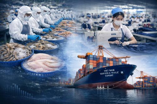 Tái cấu trúc dòng chảy thương mại, thủy sản và dệt may bước vào chu kỳ thử thách