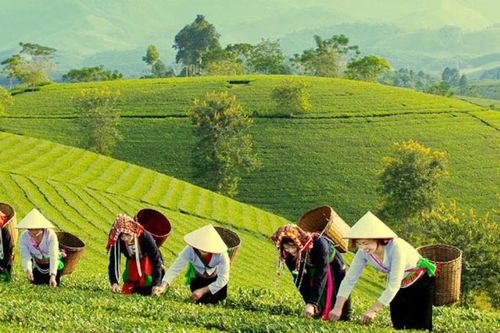 Giảm nghèo tại Phú Thọ Chuyển mạnh từ hỗ trợ sang tạo động lực phát triển