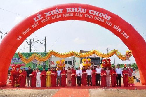 Đồng Nai xuất khẩu 220 tấn chuối tươi, thúc đẩy xuất khẩu nông sản năm 2026