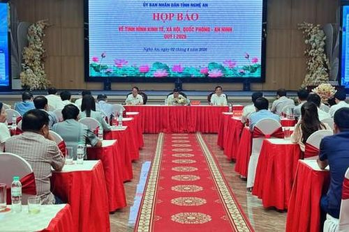 Nghệ An có 113 học sinh đạt giải kỳ thi học sinh giỏi năm 2026