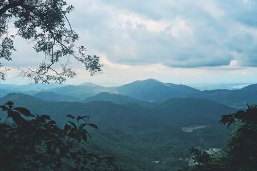 Lênh đênh phận bạc rong rêu