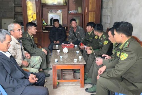 Toàn tỉnh trồng mới hơn 130 ha rừng