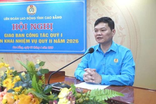 Liên đoàn Lao động tỉnh triển khai nhiệm vụ trọng tâm quý II/2026