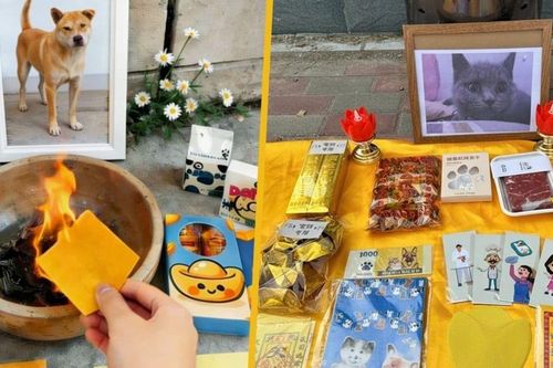 Không chỉ chôn cất, nhiều người còn mua cả tiền, đồ ăn cao cấp bằng giấy để 'gửi xuống' cho thú cưng khiến ai nghe cũng bất ngờ