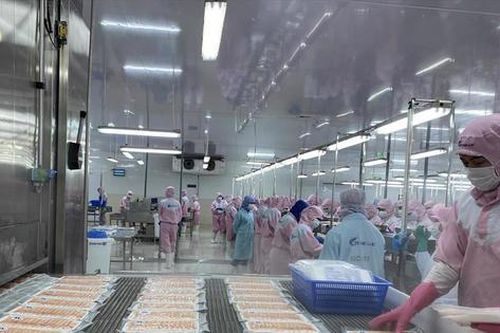 Hướng dẫn mới về đăng ký doanh nghiệp thực phẩm xuất khẩu sang Trung Quốc
