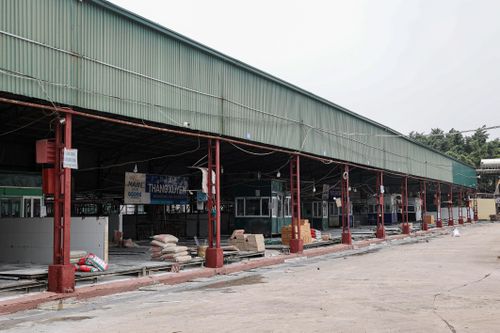 Cận cảnh lò mổ tuồn gần 300 tấn lợn bệnh vào trường học, chợ đầu mối ở Hà Nội
