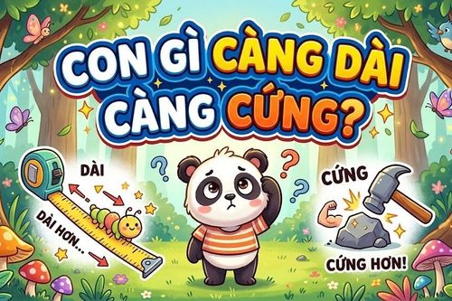Con gì càng dài càng cứng?