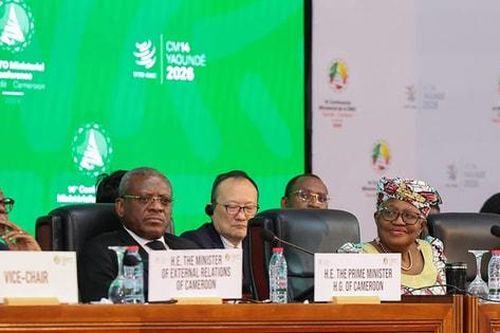 Đàm phán cải cách WTO đứng trước nguy cơ bế tắc kéo dài