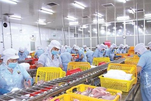 Xuất khẩu thủy sản: Đa dạng thị trường để giảm thiểu rủi ro