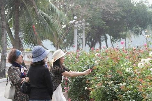Hạ rào công viên: Người dân nói gì về lợi ích thiết thực?