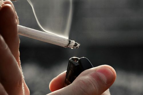 Hút thuốc lá và cần sa có thể gây 'teo não'