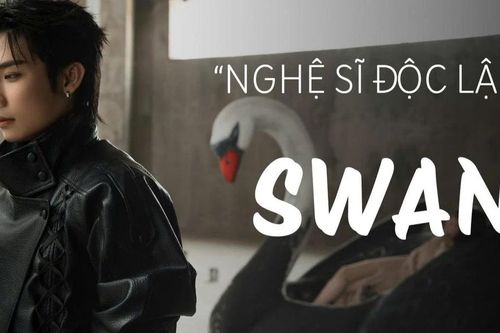 Từ Tân binh đến nghệ sĩ SWAN: 'Mọi thứ trở nên lớn hơn, nhưng tôi vẫn là chính mình'