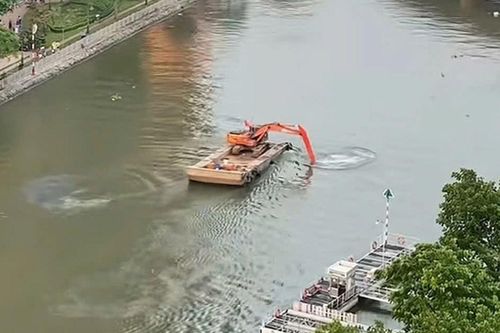 Máy xúc 'làm xiếc' trên sông Sài Gòn