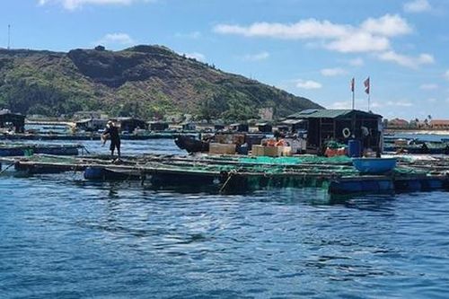 Đề xuất miễn thuế thu nhập cá nhân với nhiều nguồn thu trong lĩnh vực nông nghiệp, môi trường