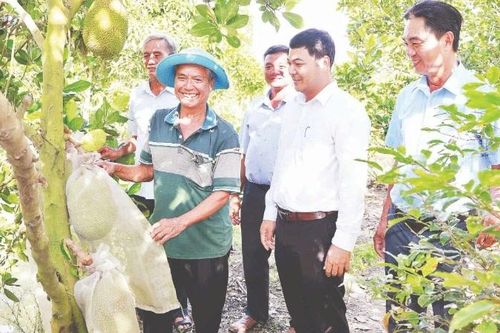 Cùng nông dân sản xuất chuyên nghiệp, hiện đại