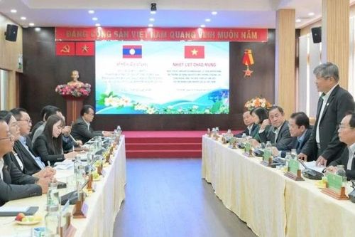 Tăng cường hợp tác phát triển ngành cao-su bền vững giữa Việt Nam-Lào
