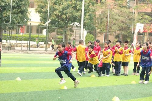 Xây dựng quy định đầy đủ về trường phổ thông năng khiếu nghệ thuật, thể dục, thể thao