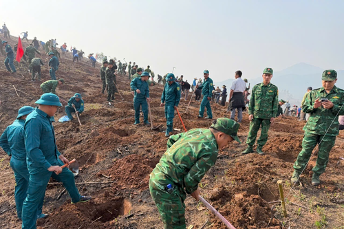 Điện Biên: Phát động phong trào trồng cây năm 2026